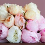 Elegant Summer  Bouquet