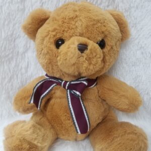 Teddy bear