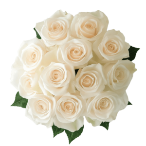 White Roses Bouquet