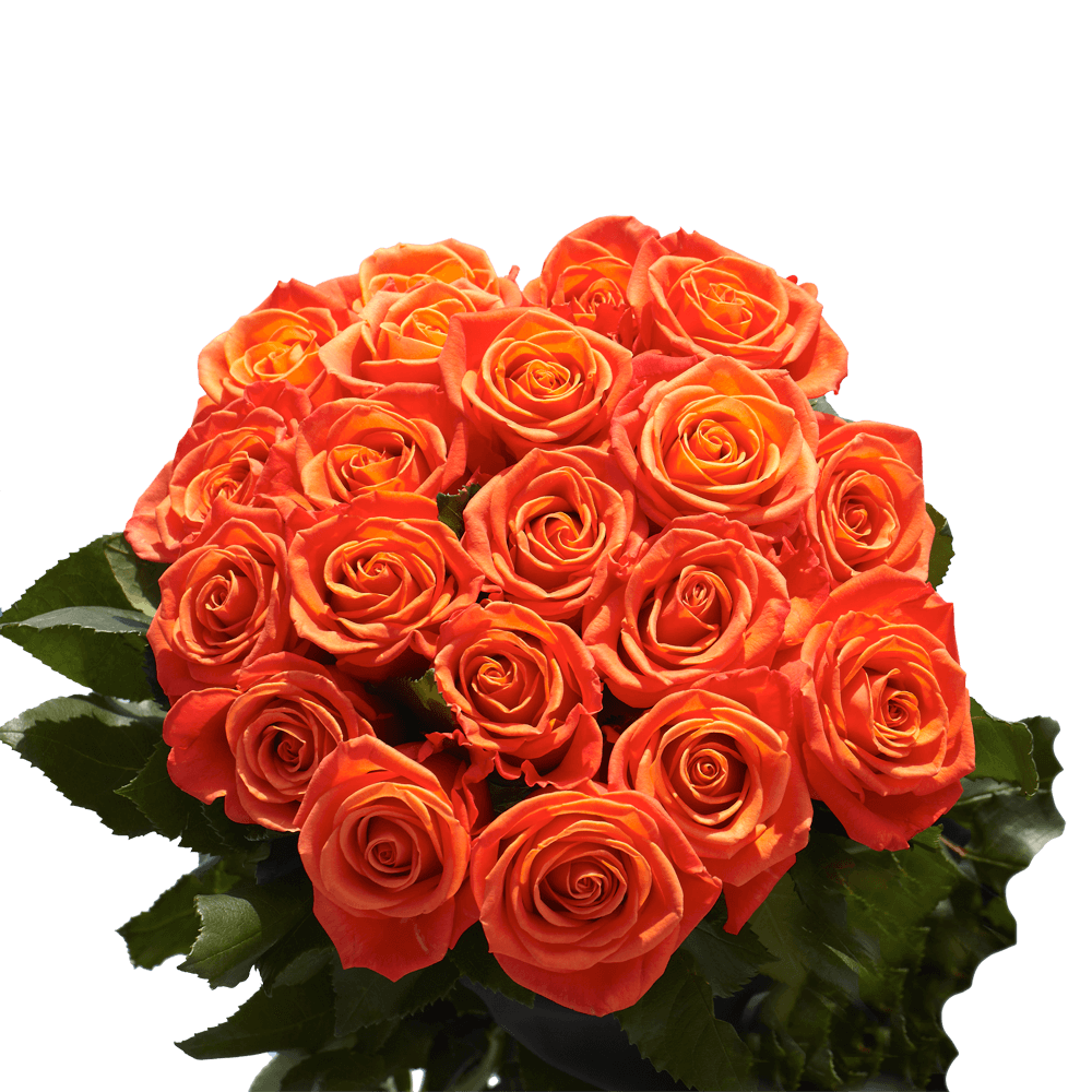 Orange Roses Bouquet - Image 4