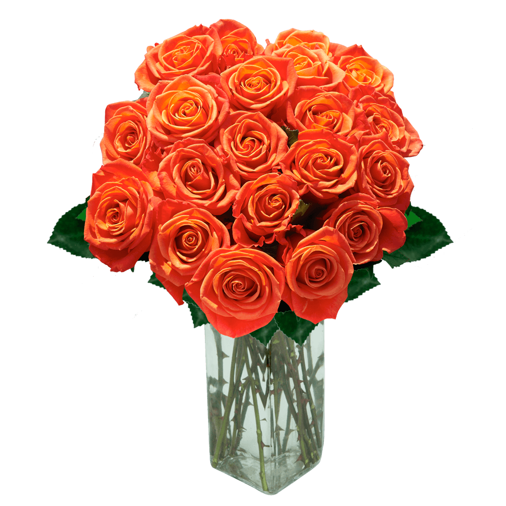 Orange Roses Bouquet