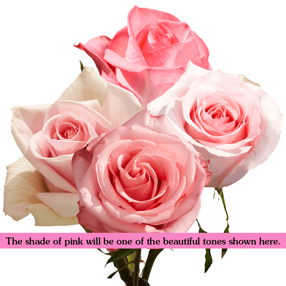 Blush Rose Bouquet - Image 3